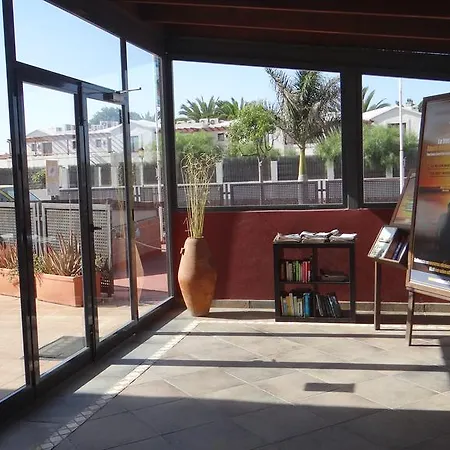 Lejlighed Apartamento Oceano Corralejo
